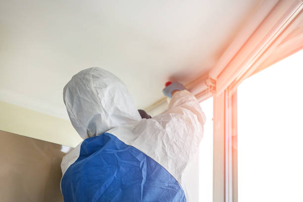 Asbestos and Lead Testing During Mold Inspection in Cutten, CA